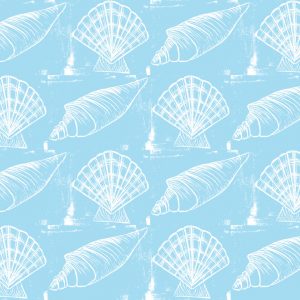 Sea Shells - White on Blue