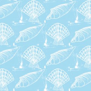 Sea Shells - White on Blue