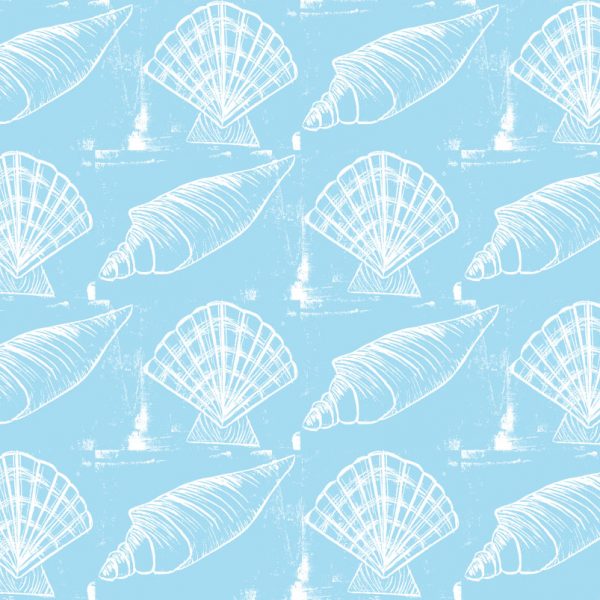 Sea Shells - White on Blue